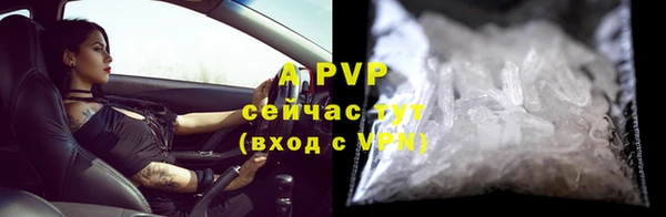 a pvp Белокуриха