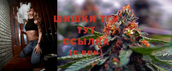 ПСИЛОЦИБИНОВЫЕ ГРИБЫ Белоозёрский