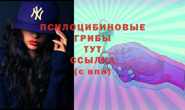 ПСИЛОЦИБИНОВЫЕ ГРИБЫ Белоозёрский