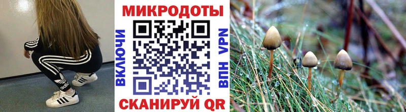 даркнет сайт  Бердск  Галлюциногенные грибы Psilocybe 